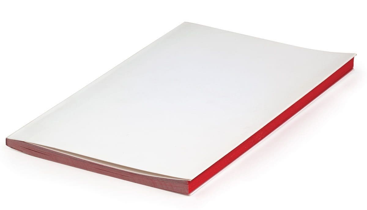 La couverture blanche du catalogue d'India Mahdavi, impression intérieur en rouge, design IchetKar