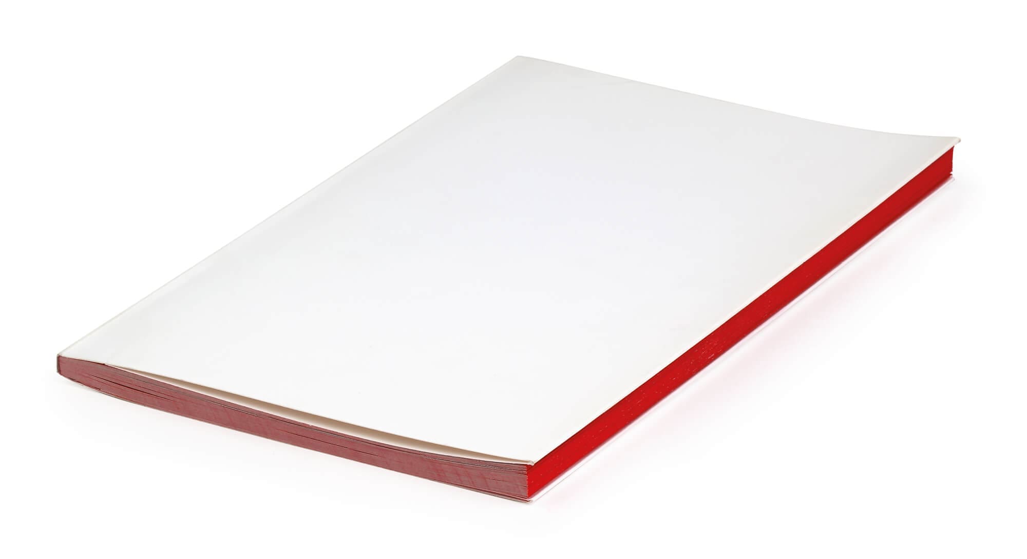 La couverture blanche du catalogue d'India Mahdavi, impression rouge, design IchetKar