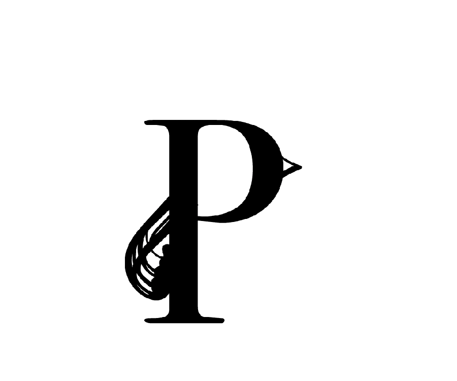 animation Paon Mots animaux éditon Buchet Chastel - design ichetkar