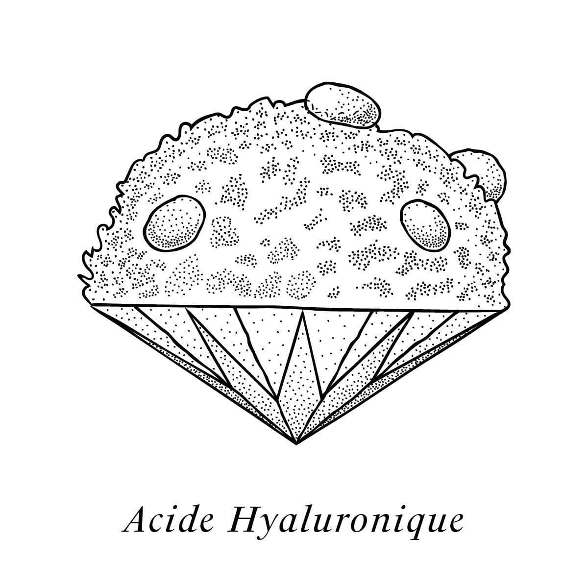 Illustration de l'acide hyaluronique, un des composants de la crème Claudius N°1, design ichetkar
