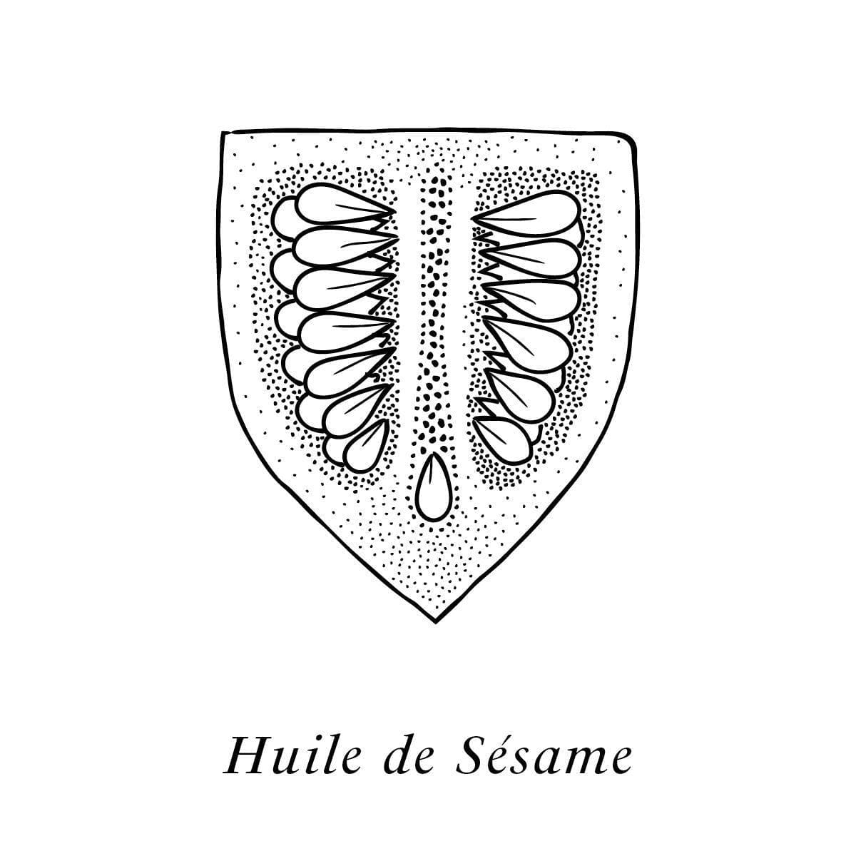 IchetKar illustre l'huile de sésame, un des actifs de la crème Claudius N°1, design ichetkar