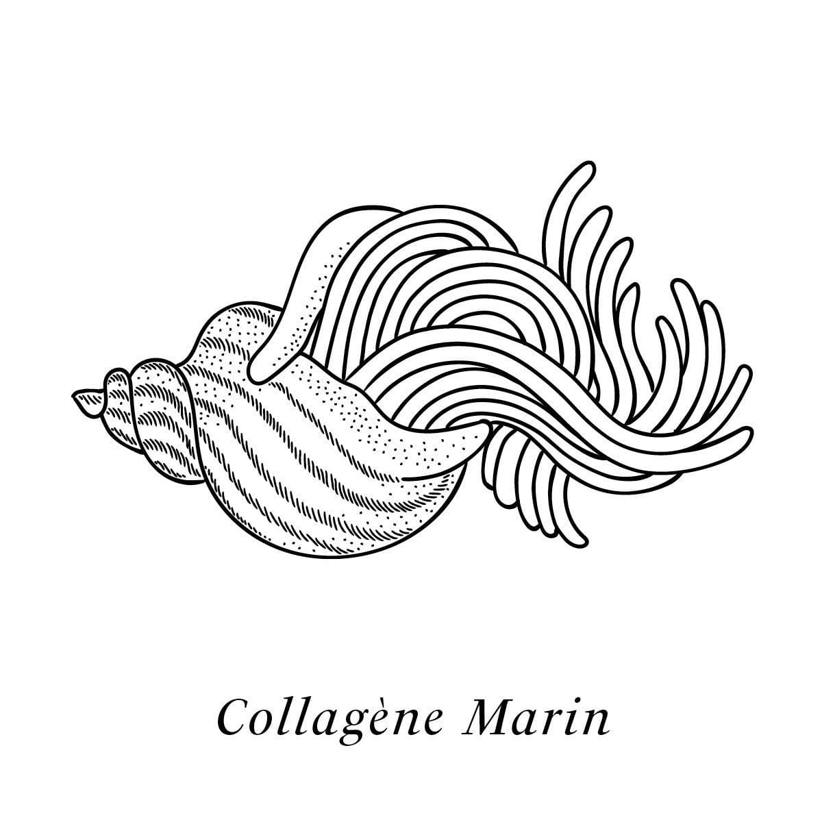 Illustration du collagène marin, actif de la crème Claudius N°1 agissant sur le vieillissement de la peau, design ichetkar