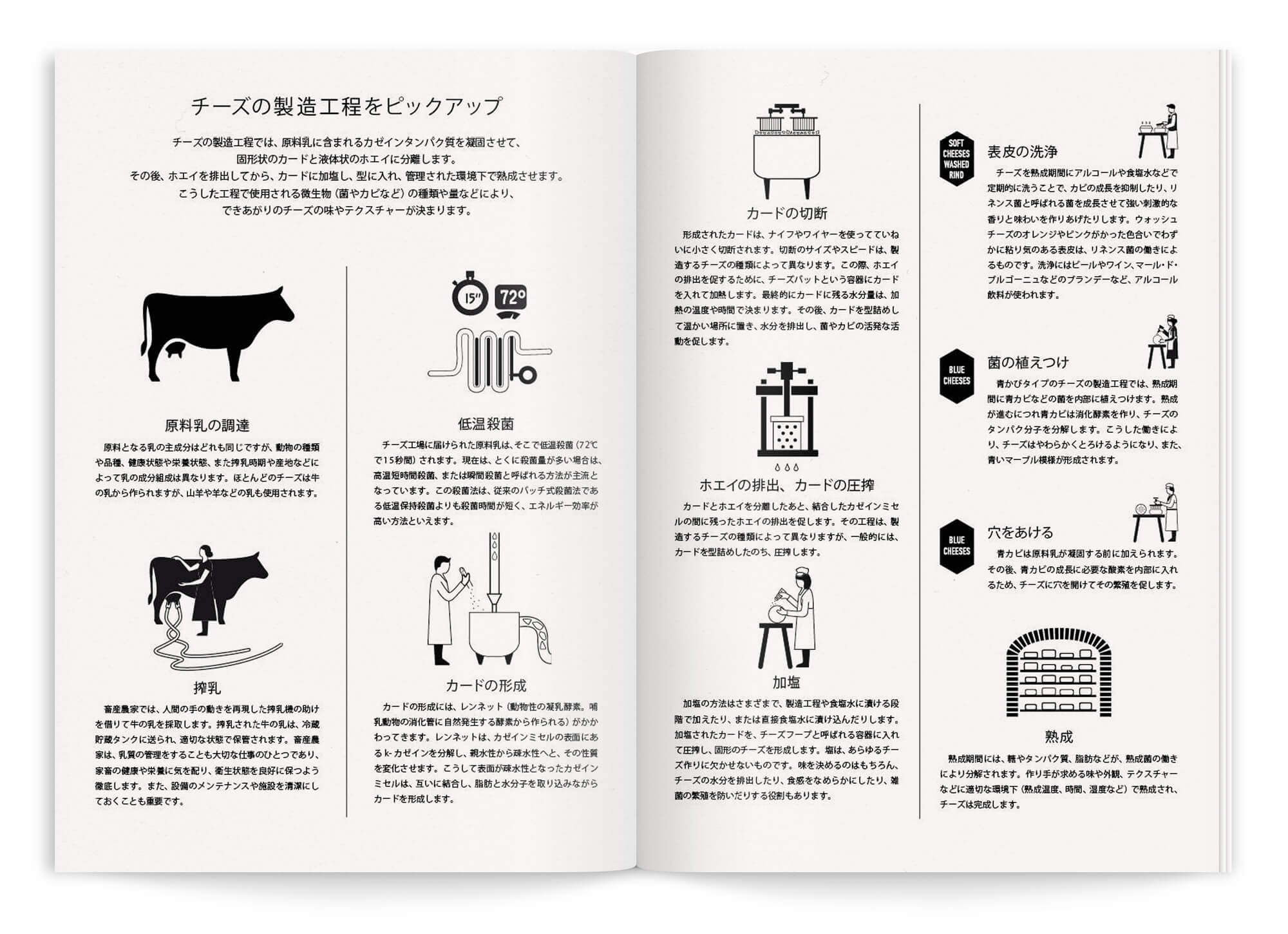 Illustration didactique sur la découpe du fromage pour le magazine du pop up store de la maison du fromage a Tokyo, design Ichetkar