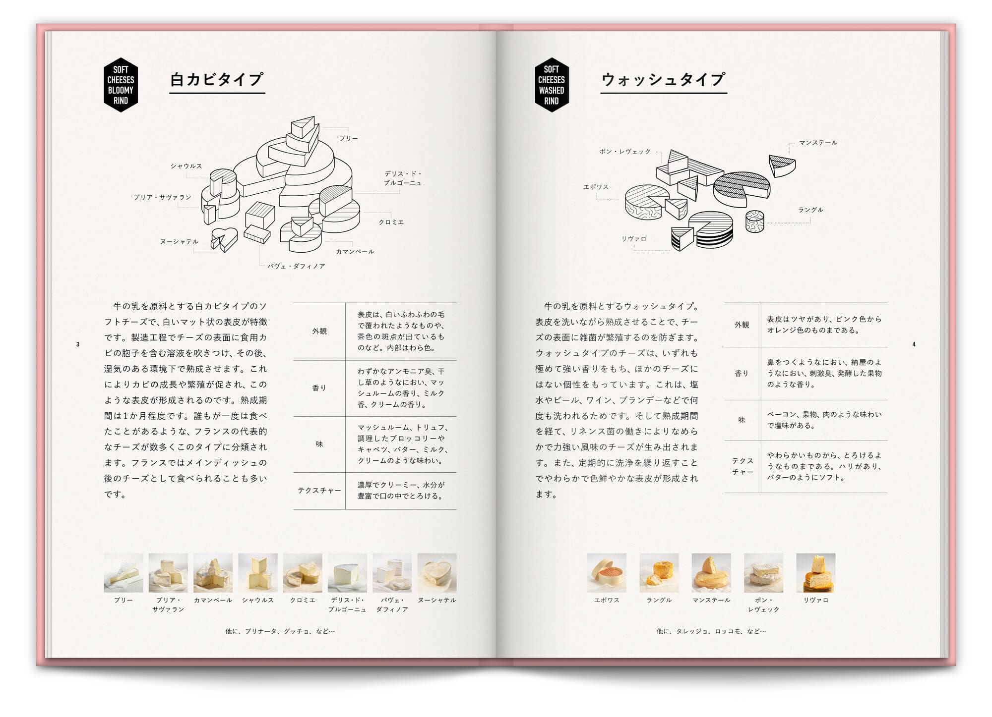 les différents type de fromage illustrés par IchetKar pour le livre de la maison de fromage à Tokyo