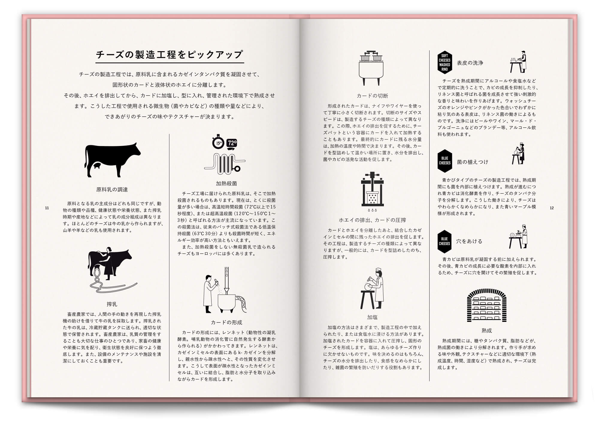 double page sur les fromages et le processus fabrication, design et illustration IchetKar