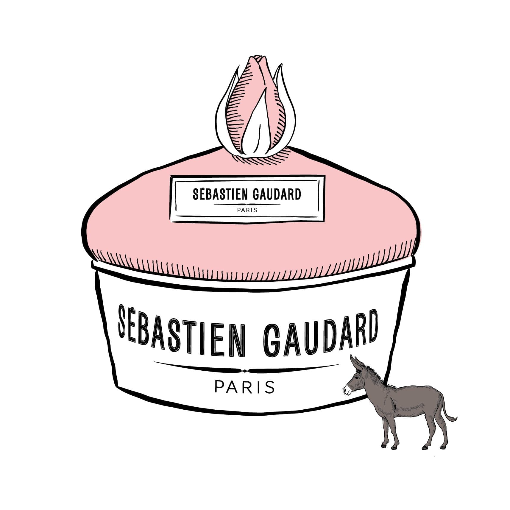 illustration du gâteau d'amour de sébastien gaudard par le studio ichetkar
