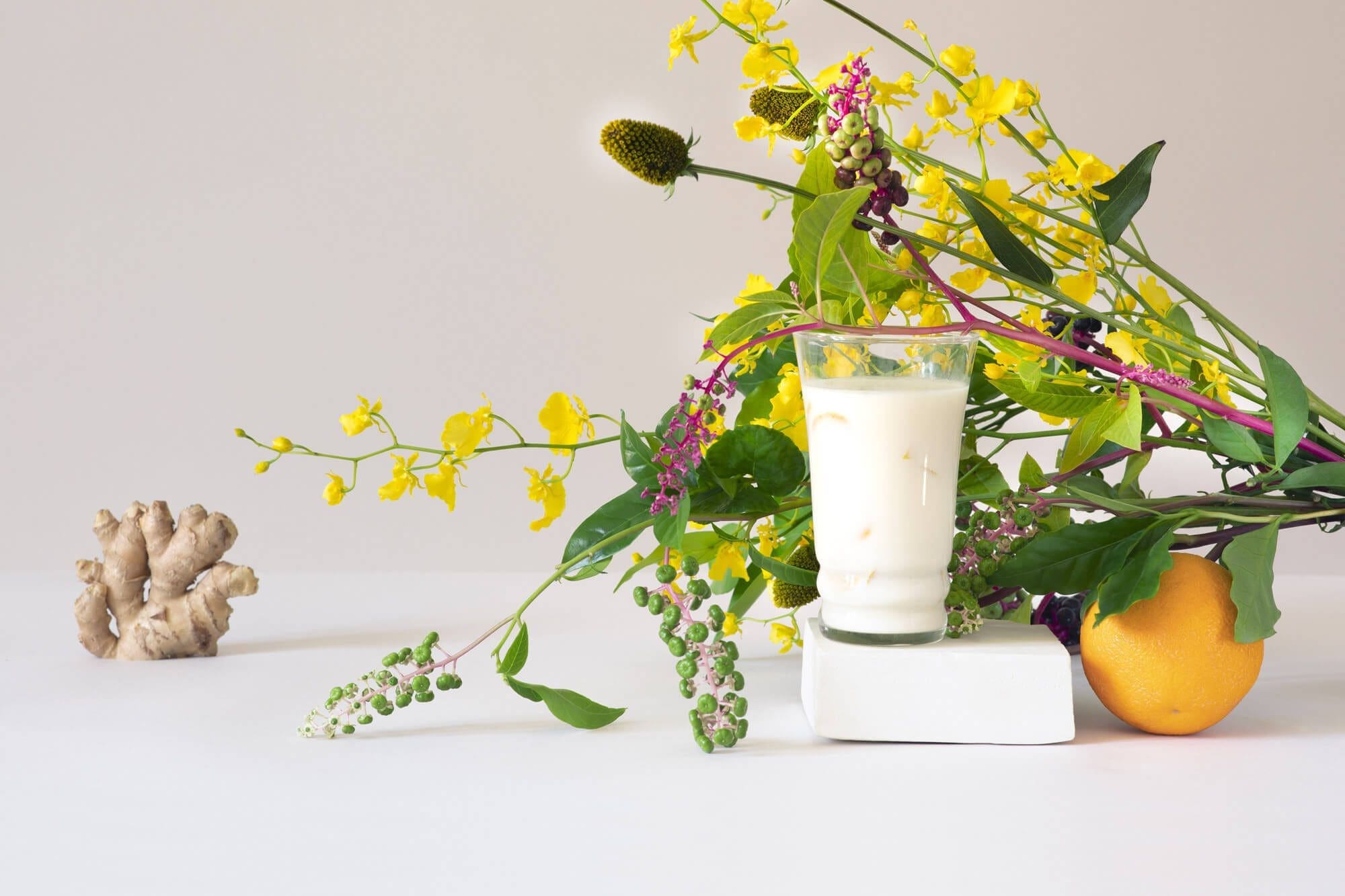 photographie illustrant la recette de lait énérgisant pour la milkfactory, direction artistique Ich&Kar