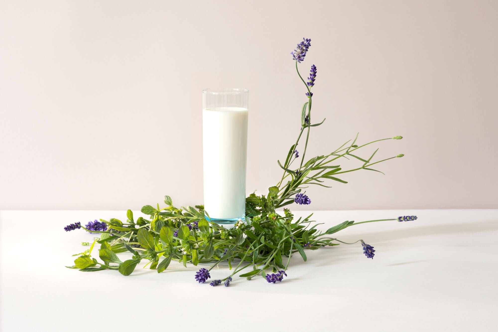 image dela série lait et plantes par ichetkar et virginie perochea. direction artistique de la photographie pour la milkfactory