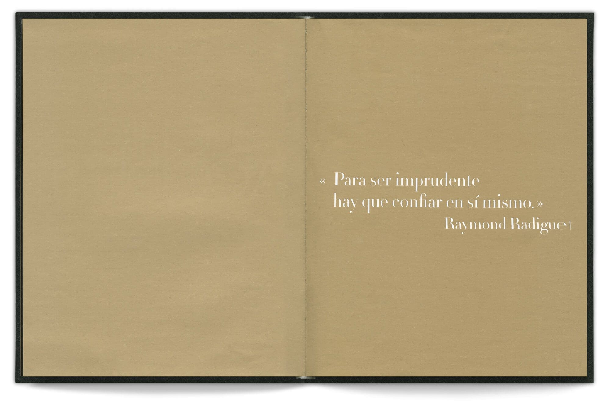 Une citation de Raymond Radiguet dans le livre d'Emmanuel Pucault, fondateur de Chic by accident, design editorial IchetKar