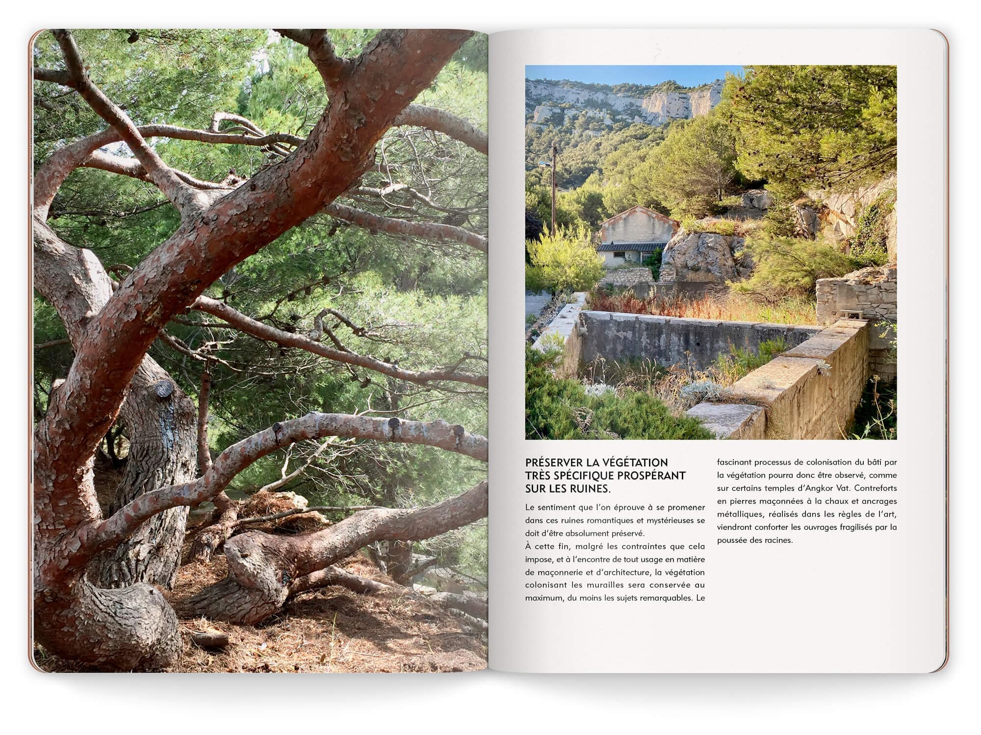 Double page montrant des photos de la friche de l'Escalette avec une nature préservée.