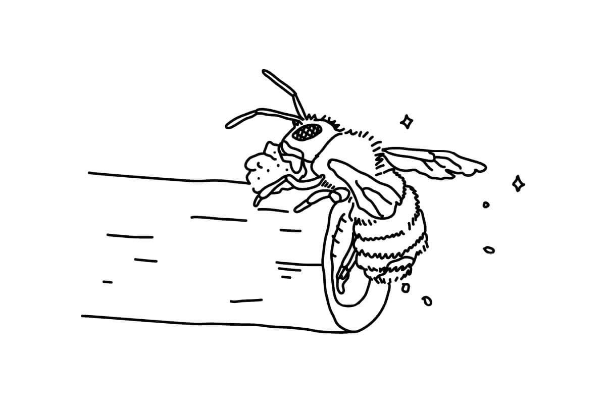 illustrations d'icones pour le dossier d'appel d'offre du Chalet des Iles, une joli abeille signé ichetkar