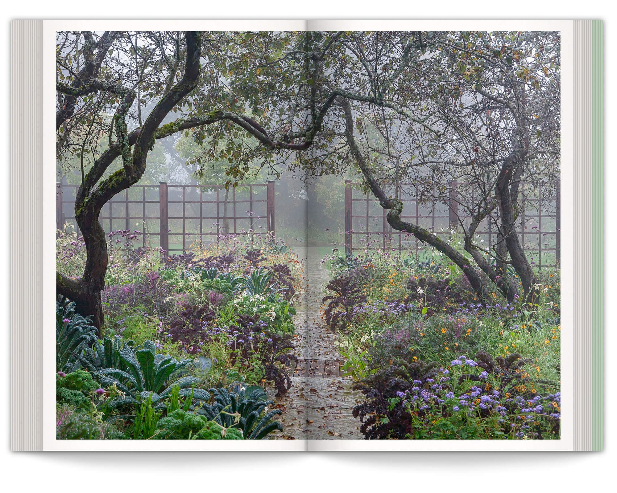 double page photo dans le livre manifeste du jardin émotionnel, design IchetKar