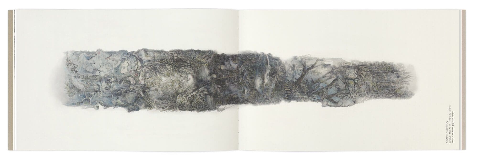 Hélène Muheim présente ses dessins grands formats dans son livre soutenu par le Cnap, graphisme IchetKar