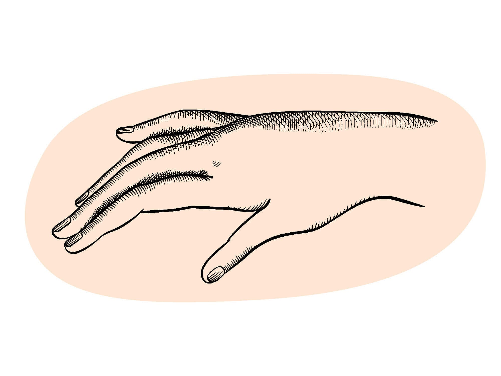 la main des 5 sens dessiné pour la cite du vin de bordeaux signé Ichetkar