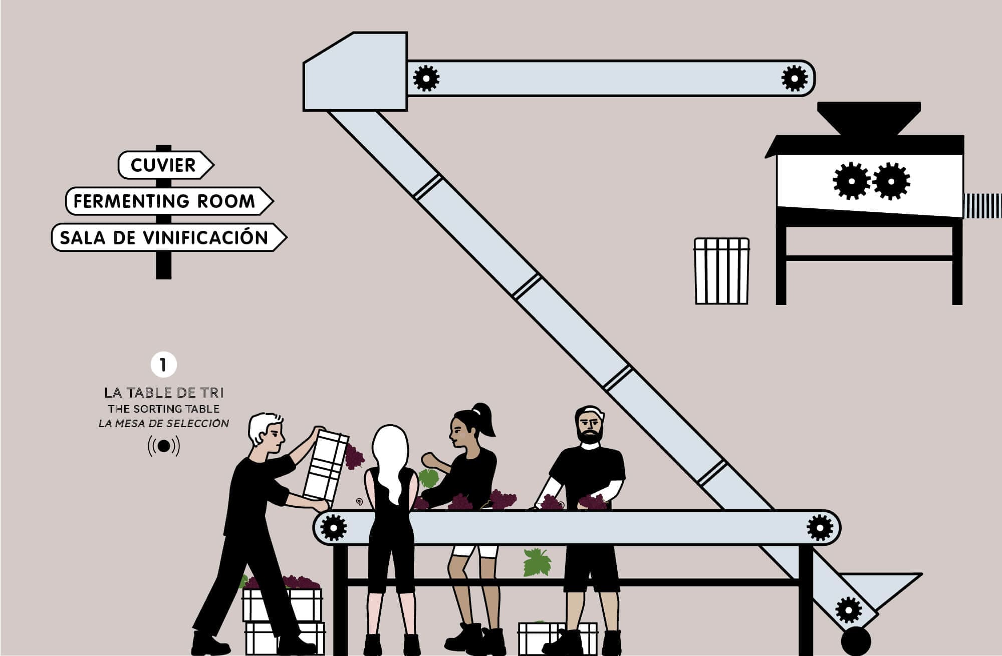 Story board de l'animation de la table de tri pour l'animation de l'elaboration du vin pour la cité du vin à bordeaux, design ichetkar