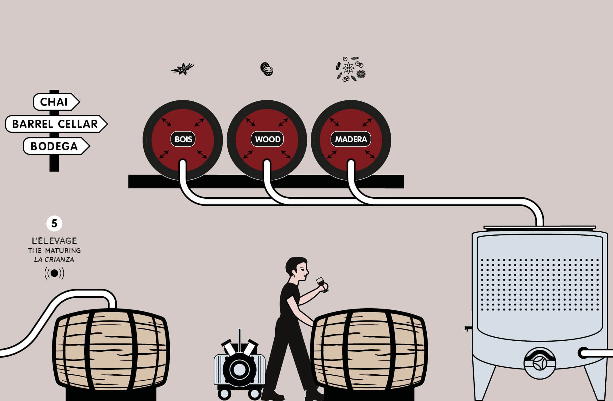 IchetKar réalise le story board et le film d'animation de l'élaboration du vin pour la cité du vin à Bordeaux