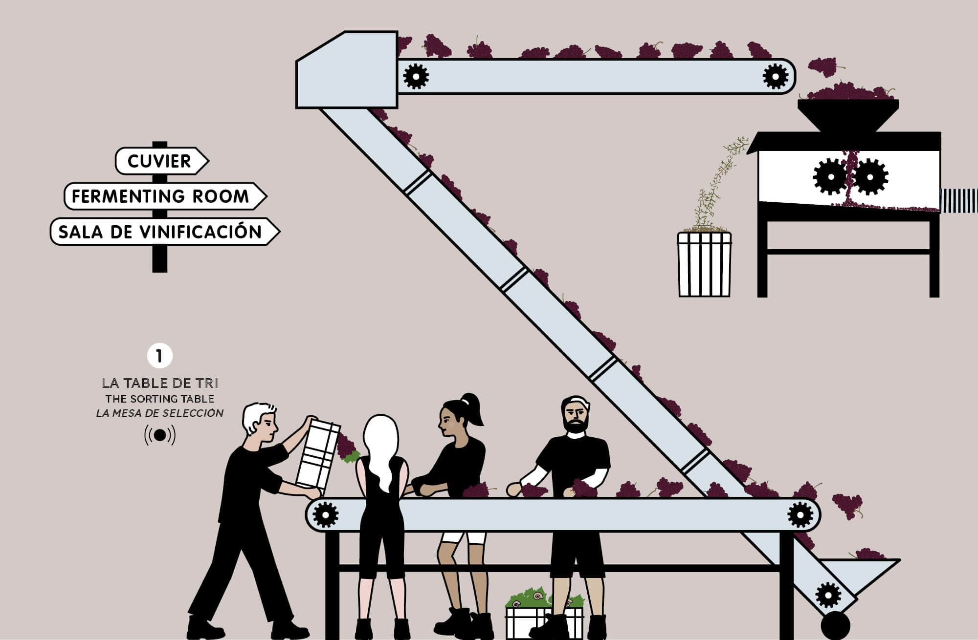 dessin réalisé par ichetkar pour le story board de la table de tri dans le film de l'élaboration du vin