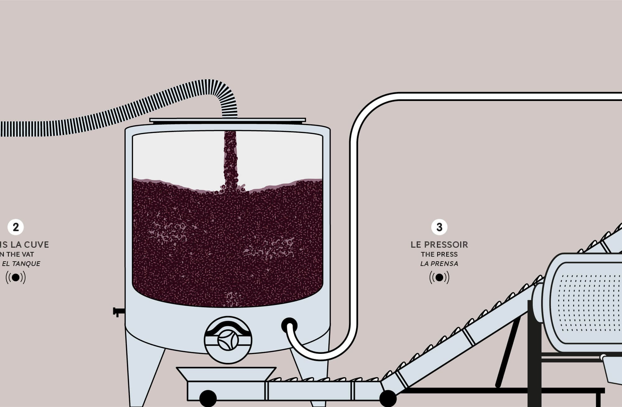 Story board de l'animation de la cuve pour l'animation de l'élaboration du vin pour la cité du vin à bordeaux, design ichetkar