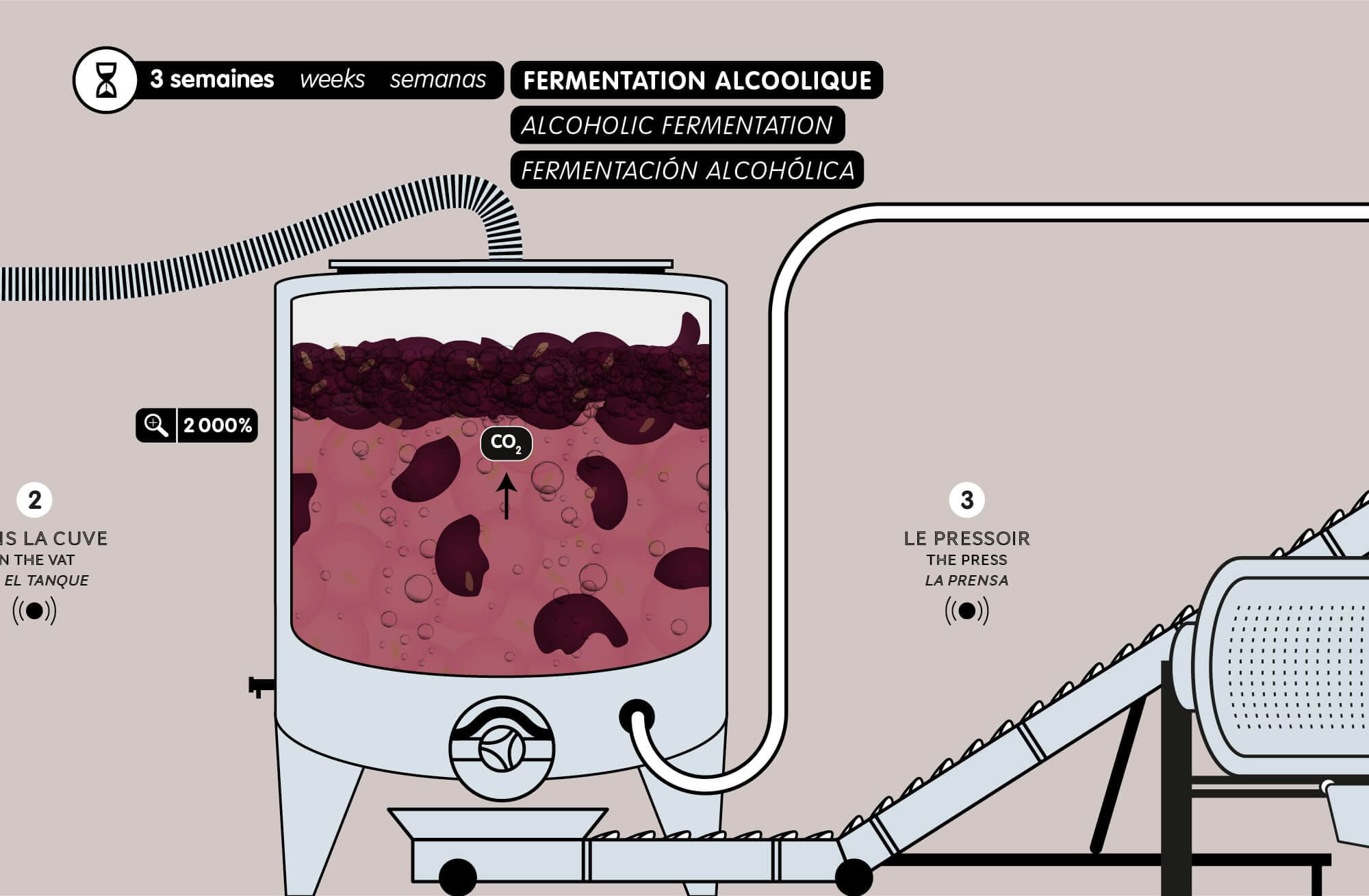 le story board de la séquence cuve du film de l'élaboration du vin pour la cité du vin à bordeaux, raisin en macération, illustration ichetkar