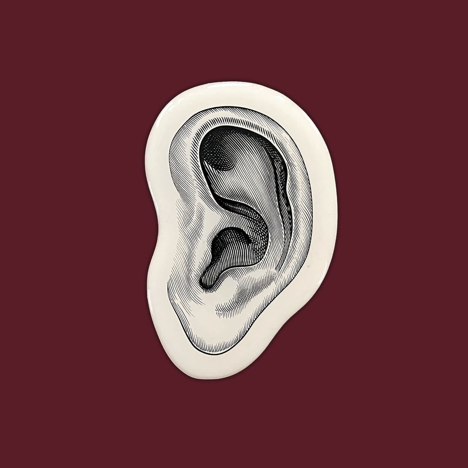 l'oreille illustrée facon gravure pour la cite du vin de bordeaux, design ichetkar