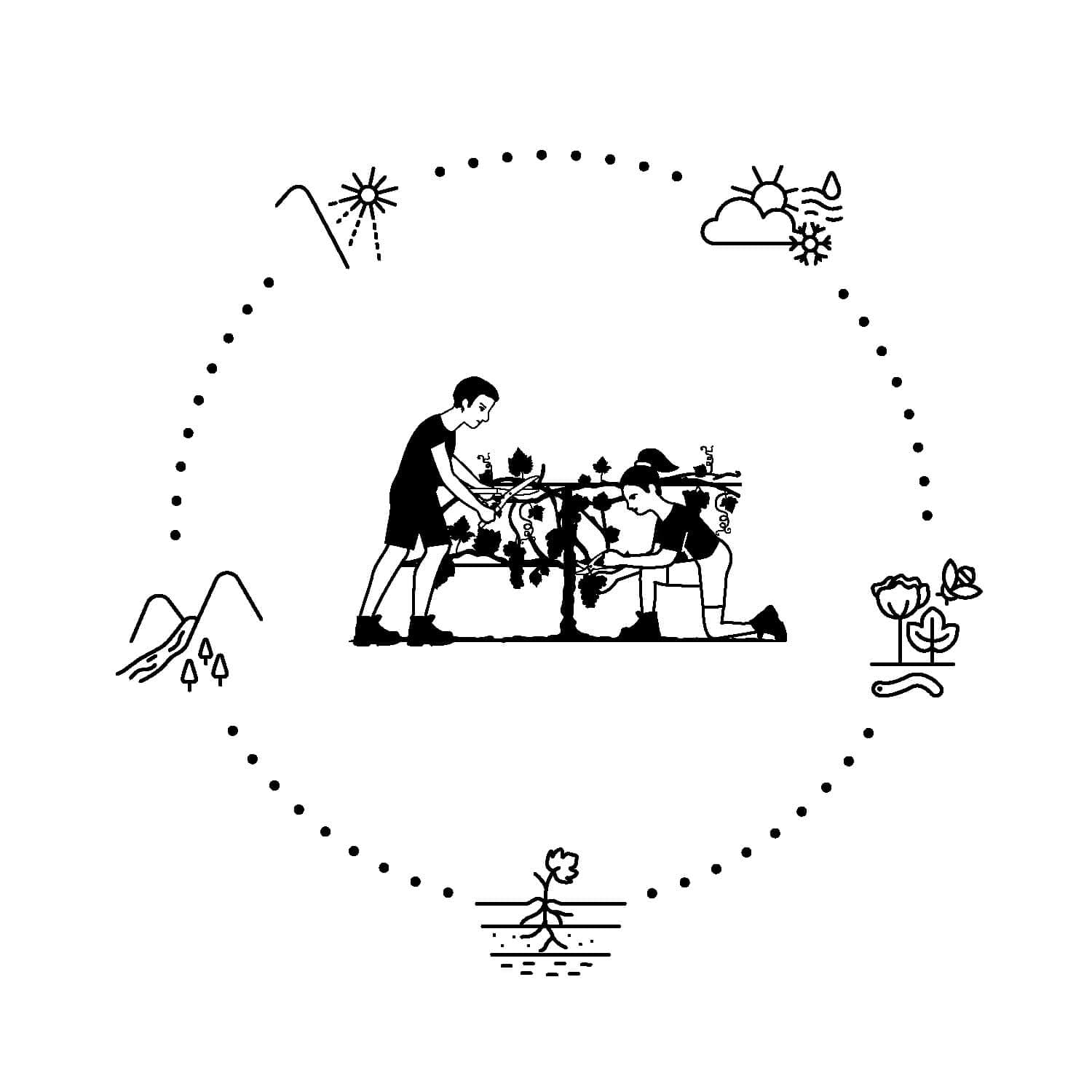 pictogramme des terroirs dessiné par ichetkar pour la nouvelle signalétique de la cité du vin de bordeaux