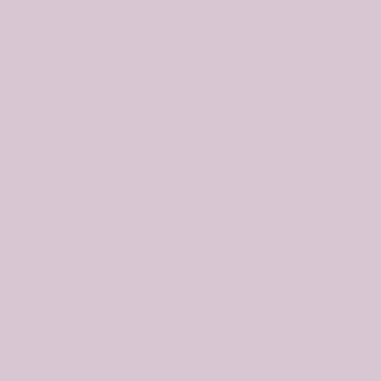 carré de couleur violet