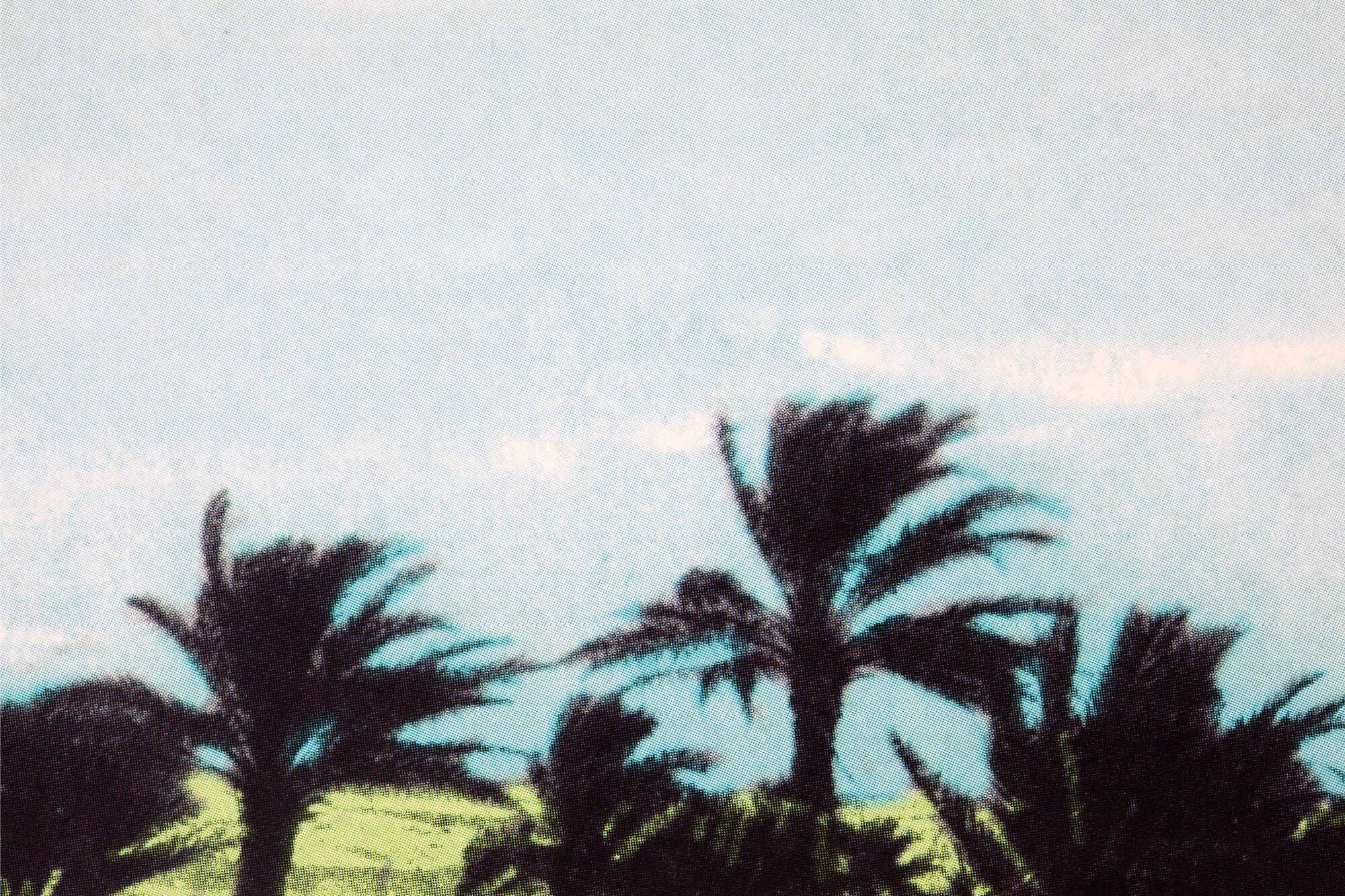 Rachid-taha-diwan1-bio-ichetkar-04