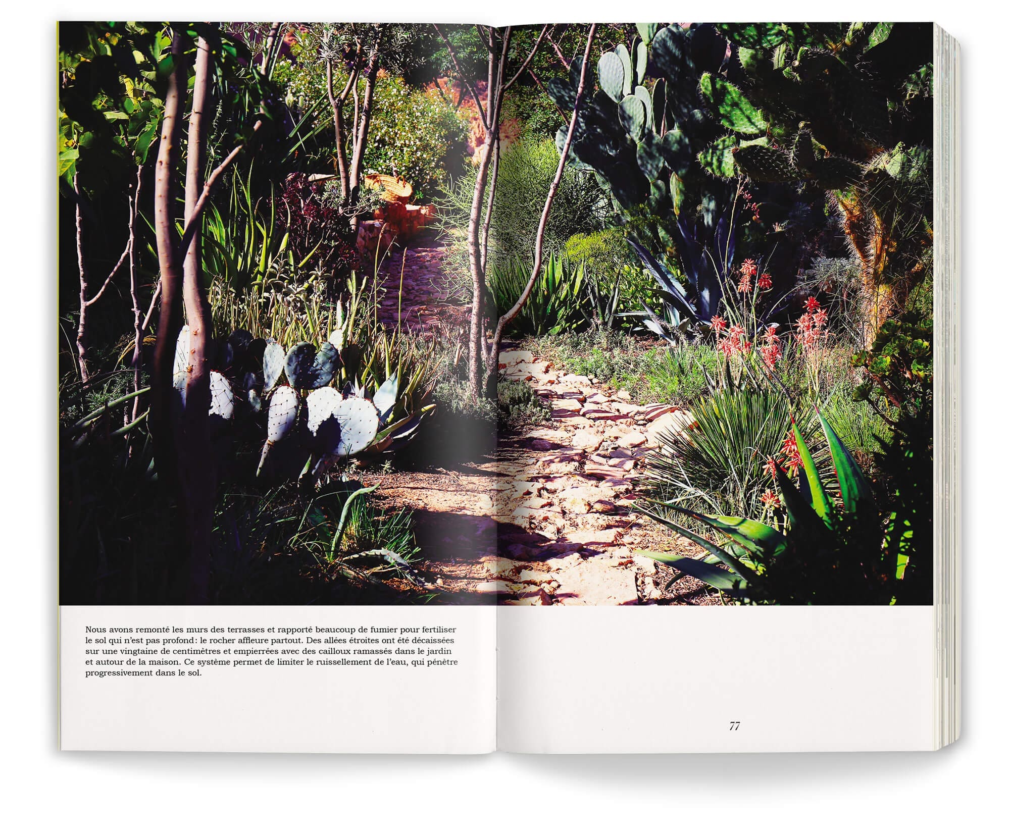 Double page photo du jardin de Afra, réalisé par Ossart et Maurières, design et mise en page IchetKar