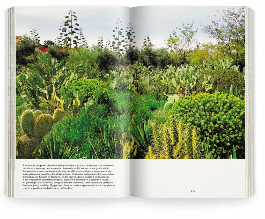Photographie du livre Onze Jardin d'aridité aux éditions Pyramyd par les paysagistes Arnaud Maurières et Eric Ossart, design graphique ichetkar