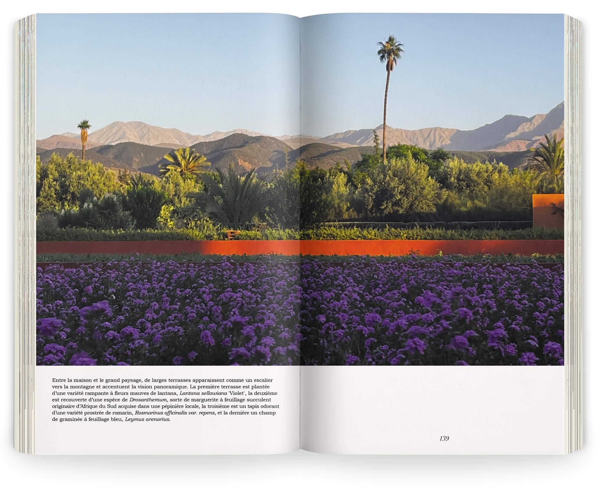 Photographie du jardin d'Azaren au Maroc, paysagiste Ossart et Maurières, maquette et mise en page IchetKar