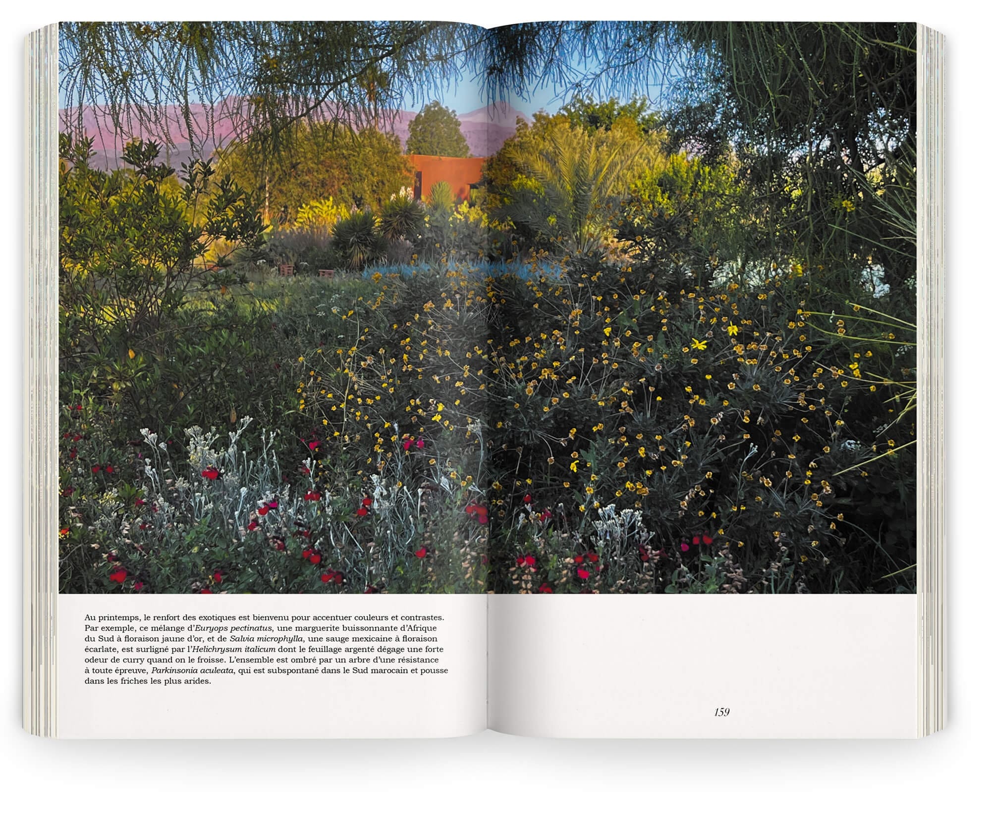 Photographie de Marie Taillefer du jardin d'Azaren au printemps, paysagiste Ossart + Maurières, design ichetkar