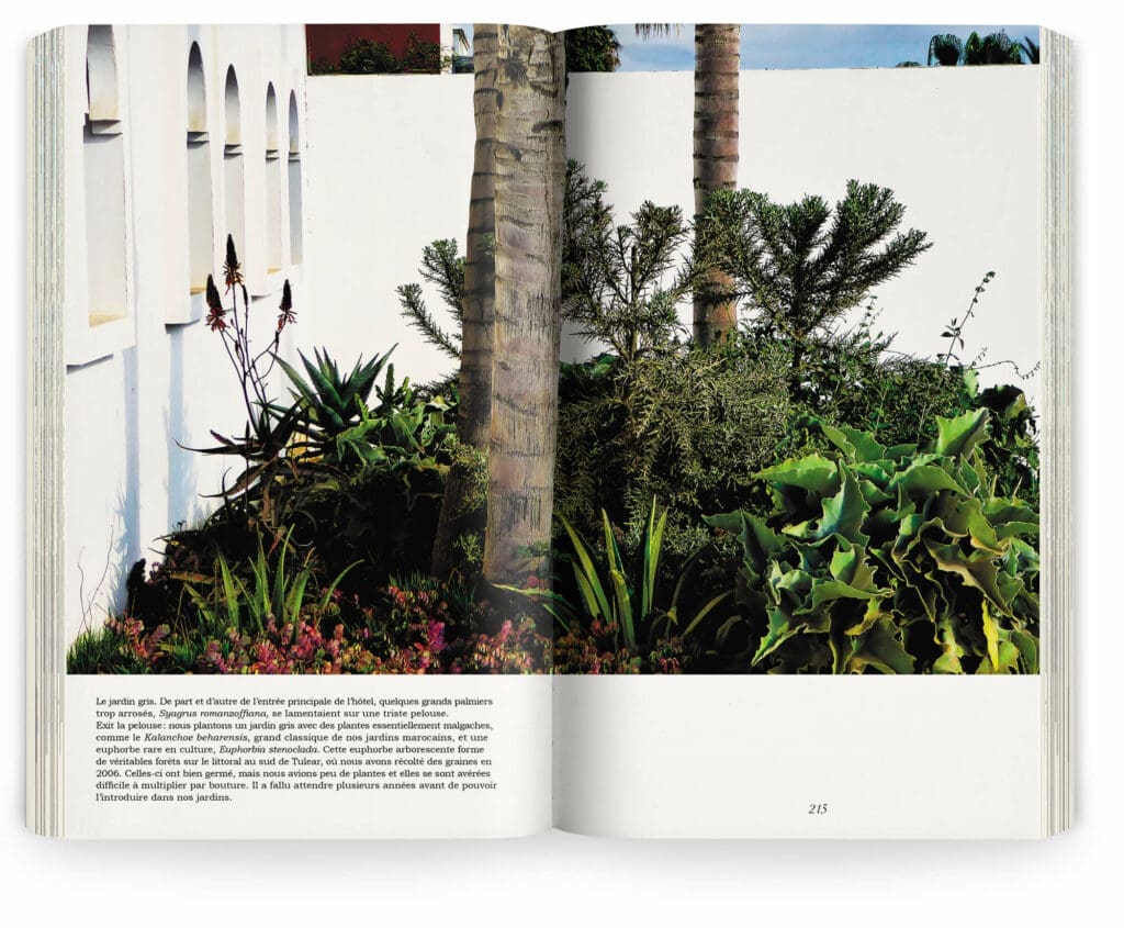 Photographie du jardin Riad villa Blanche au Maroc par Marie Taillefer, réalisé par Ossart et Maurières, maquette et mise en page IchetKar