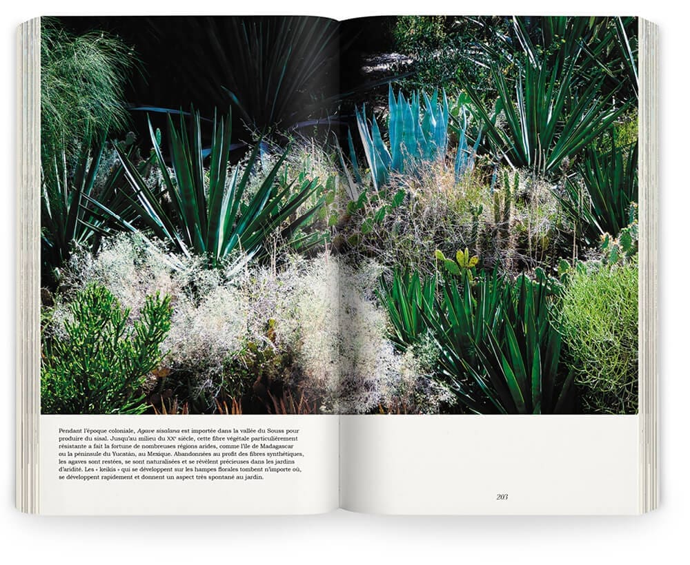 Photographie du jardin à Dar Emdoukal au Maroc par Marie Taillefer, réalisé par les paysagistes Ossart et Maurières, design éditorial IchetKar