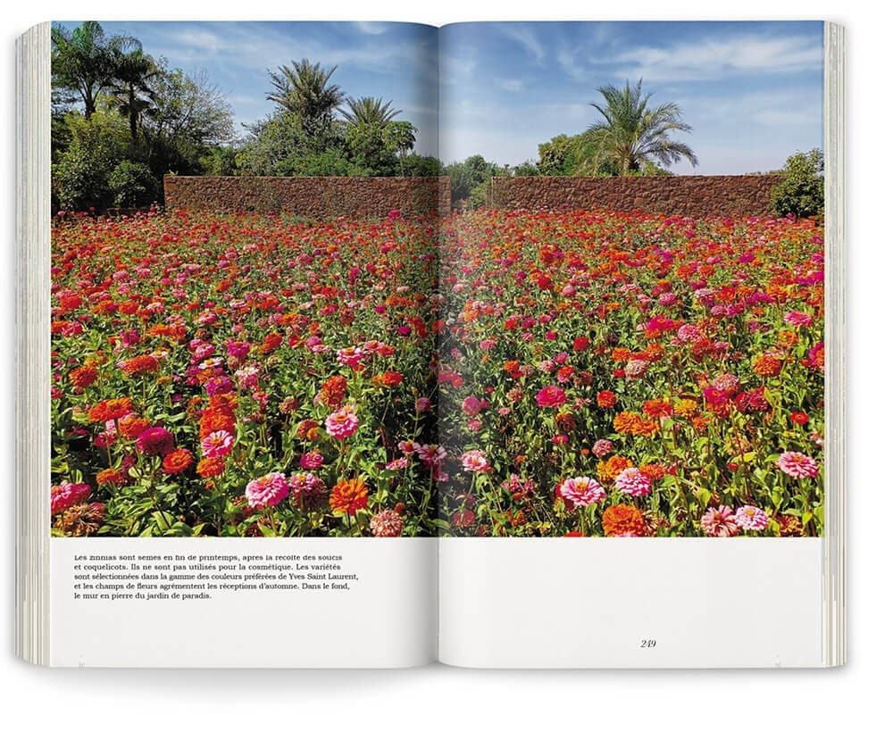 Les paysagistes Eric Ossart et Arnaud Maurières réalise les jardins collectifs de l'Ourika d'Yves Saint Laurent Beauté au Maroc, photographie de Marie Taillefer, design IchetKar