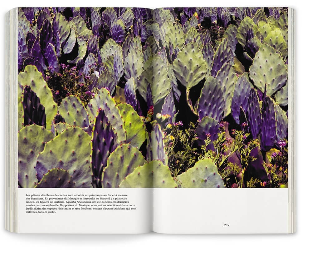 IchetKar met en page de livre Onze jardin de l'aridité sur le travail des paysagiste Eric Ossart et Arnaud Maurières, design graphique IchetKar